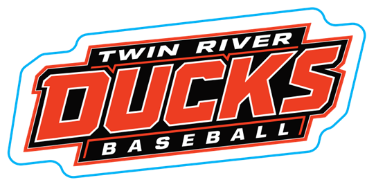 Ducks 2inch Waterproof Sticker