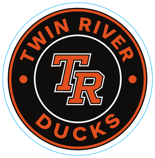 Ducks 5inch Car Magnet
